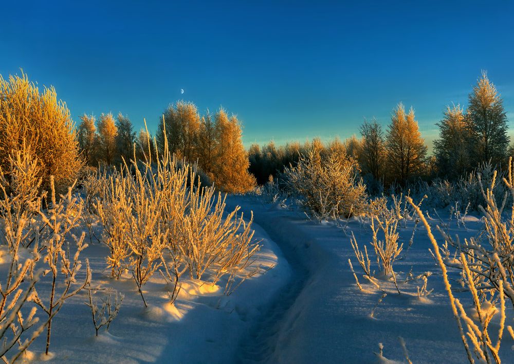 Лесная тропинка.