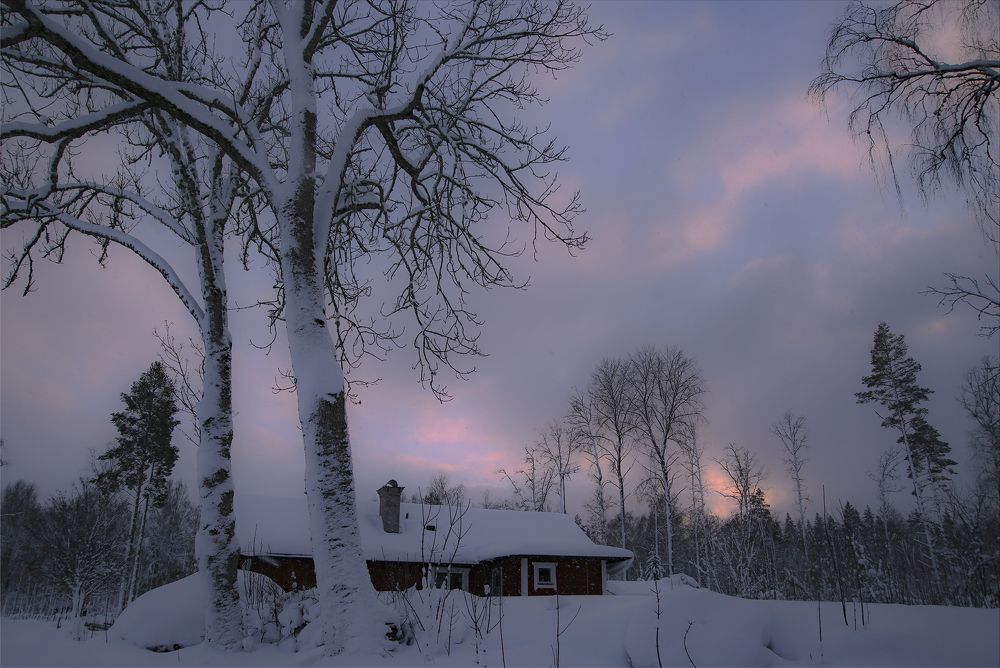 Photograph by Liudmila Drake