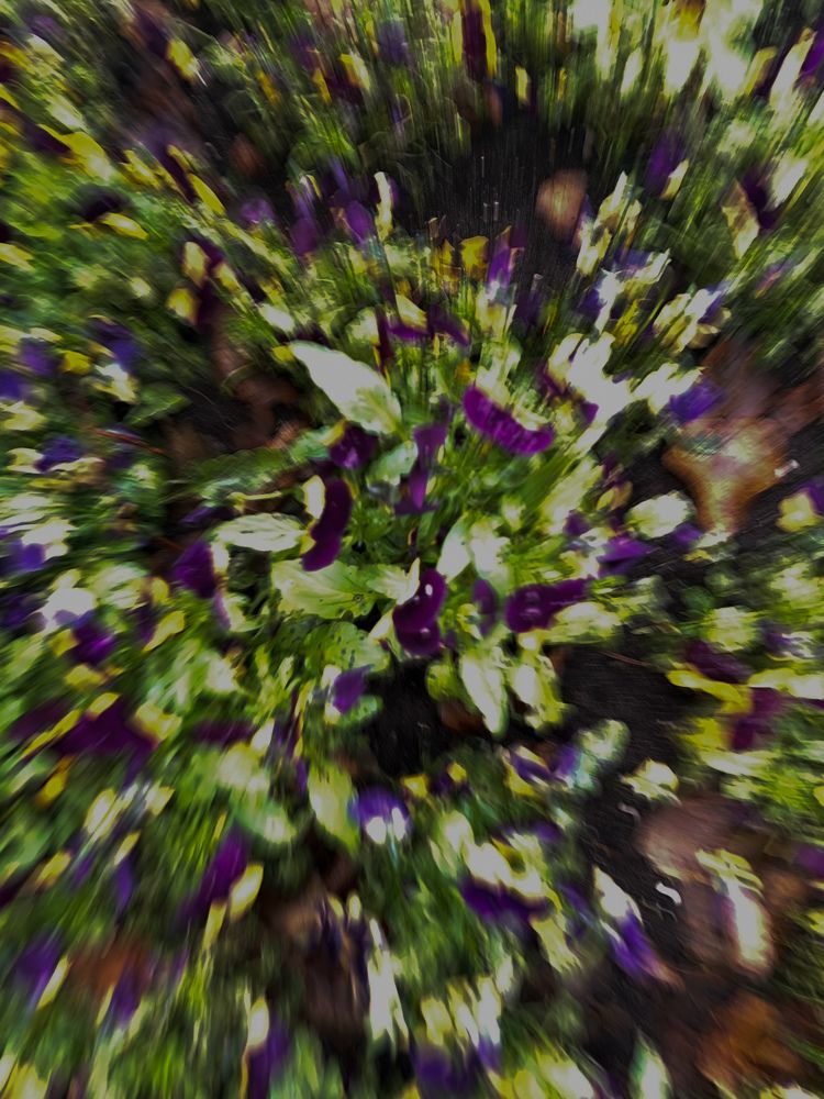 Photograph by Jelena Ivanoviene