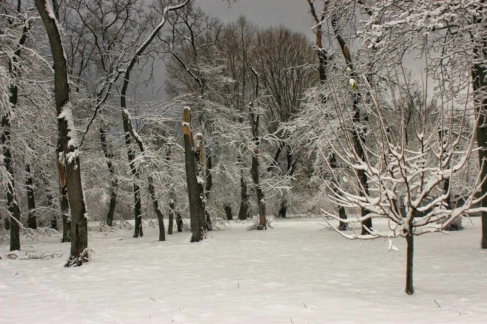 Photograph by Sergey Velichko