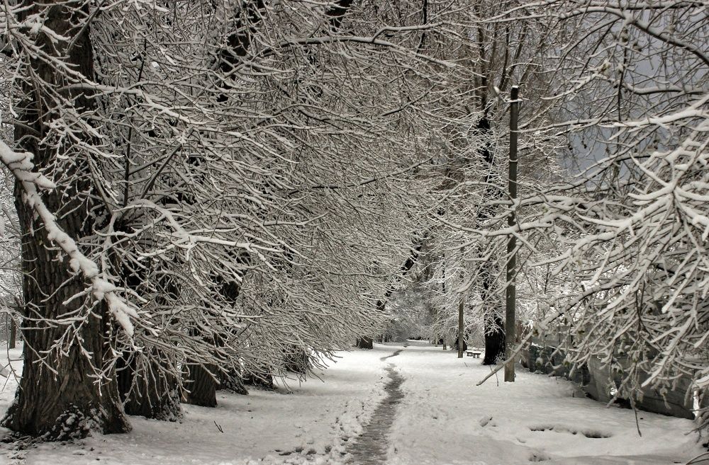 Photograph by Sergey Velichko