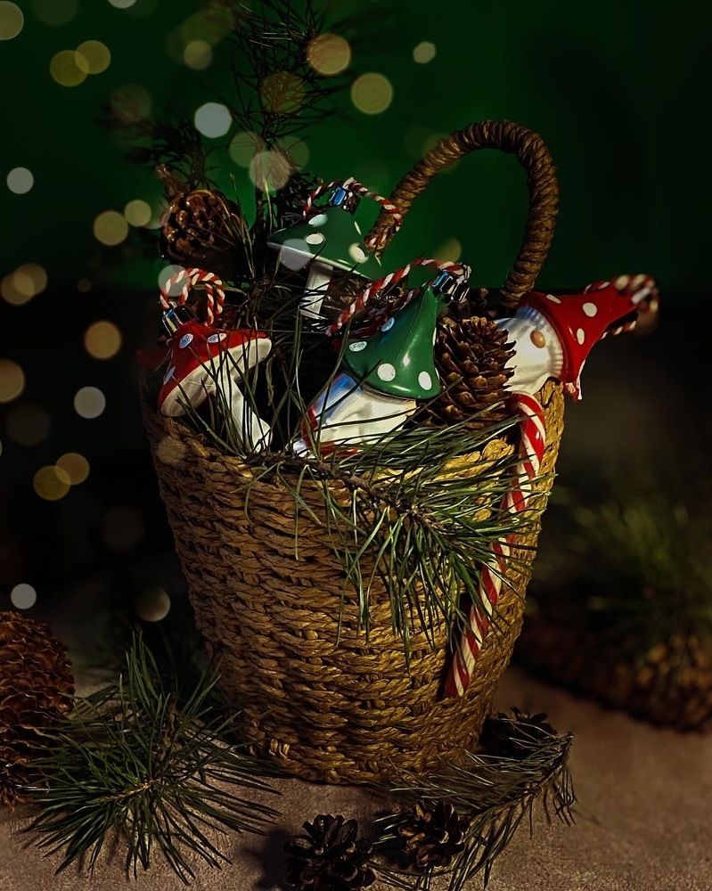 Photograph by Вера Романова