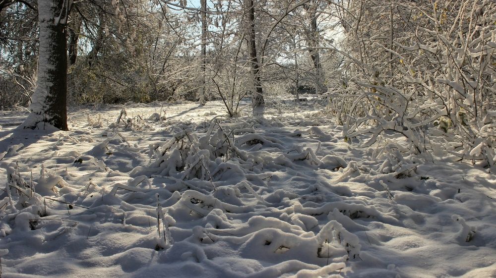 Photograph by Sergey Velichko