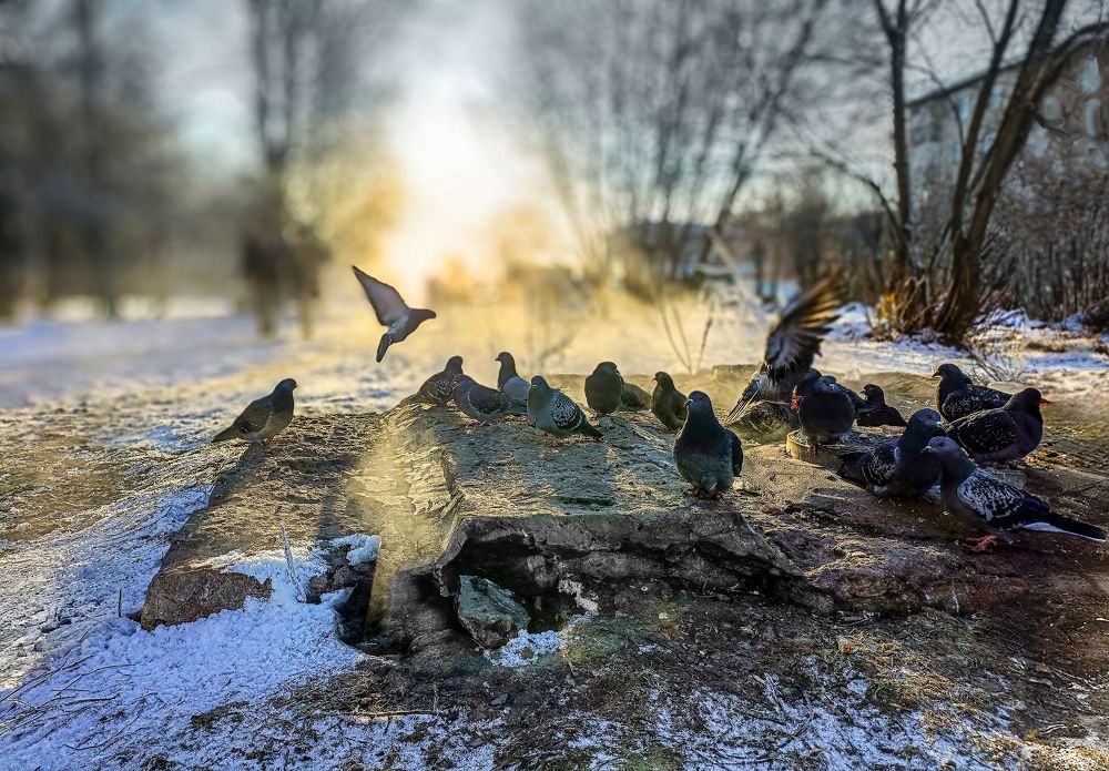 Photograph by Васенков Геннадий