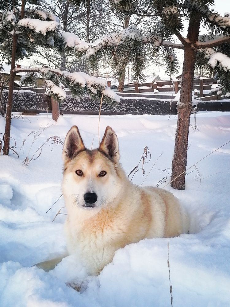 Photograph by Татьяна Бешенкина