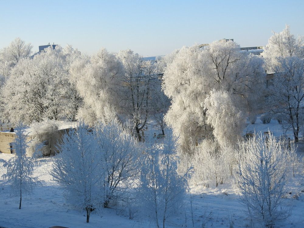 Photograph by ЭЛЬМИРА  ИСМАИЛОВА