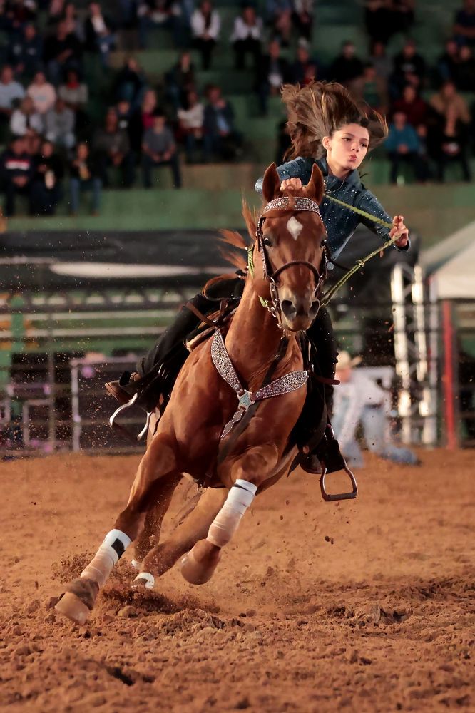 Photograph by Ricardo Q T Rodrigues