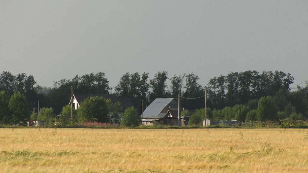 Photograph by Ильяс Альмухаметов