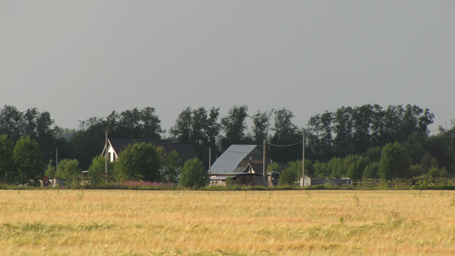 Photo #10063252