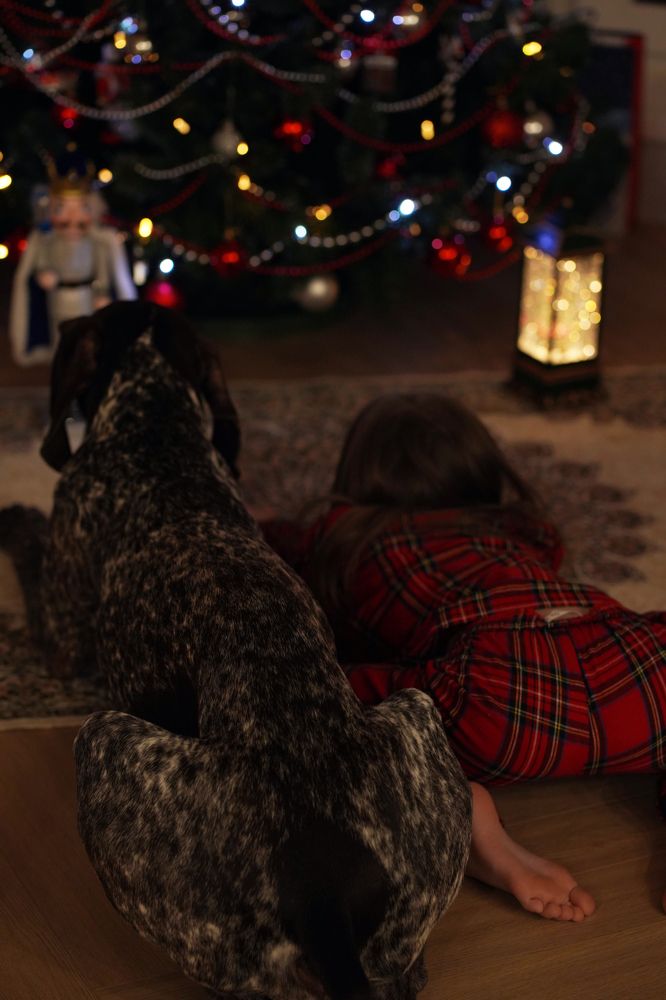 Photograph by Юлия Стародубцева