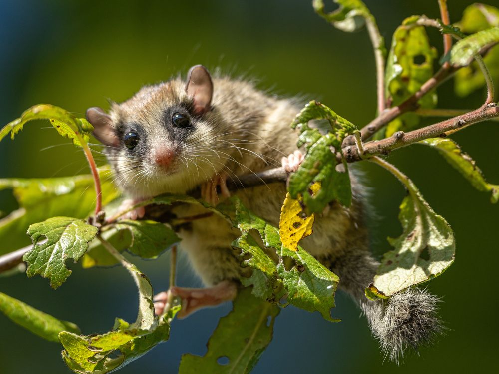 Фотография автора Инна Субботина