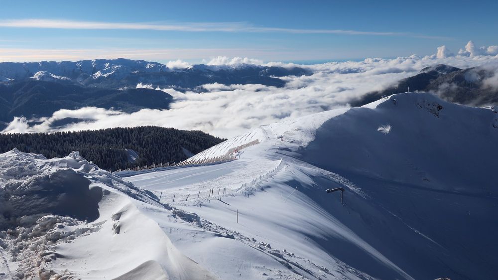 Photograph by Ольга Стоун