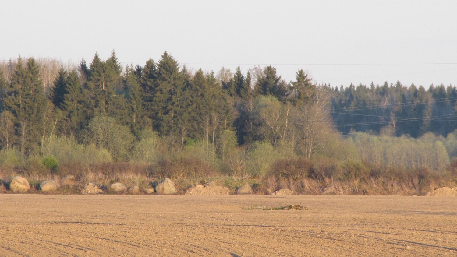 Photo #10063370