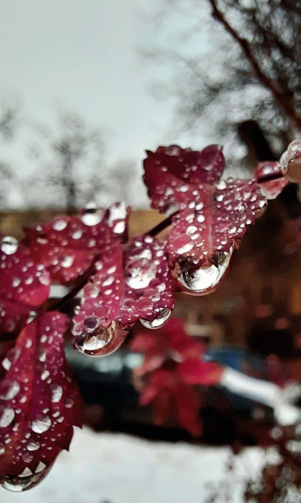 Photograph by Марина Игнатьева