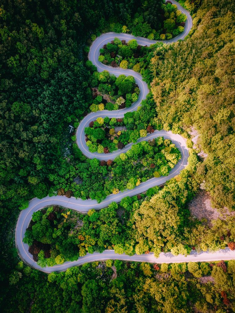 Photograph by starrymoon