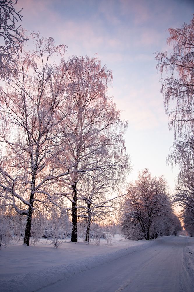 Фотография автора Станислава Гордеева