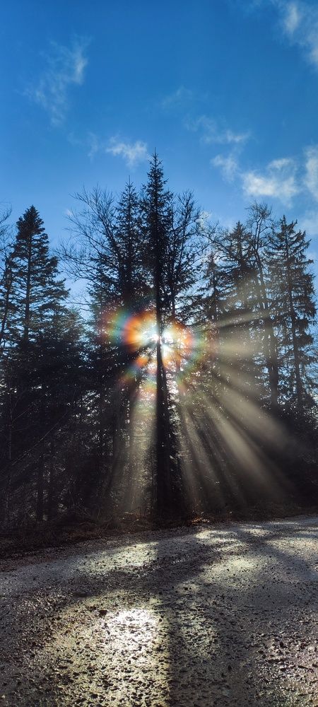 Photograph by Ольга Попова