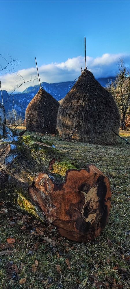 Photograph by Ольга Попова