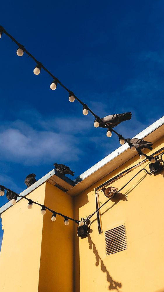 Photograph by Алёна