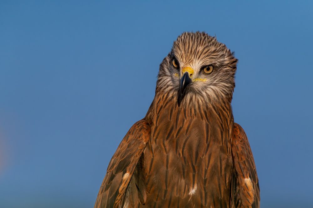 Photograph by Константин Венцлавович