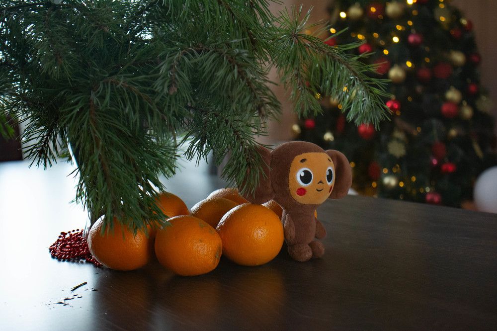 Photograph by Софья Власенко