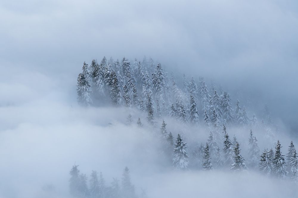 Photograph by Sebastian