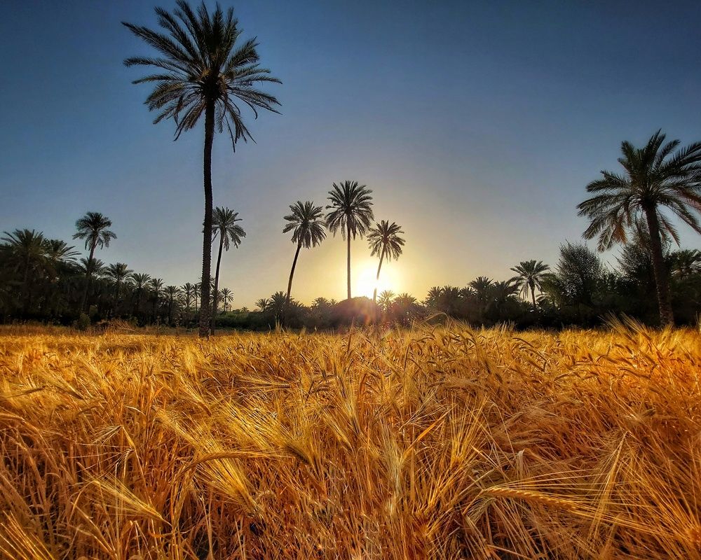 Photograph by aref rafiepour