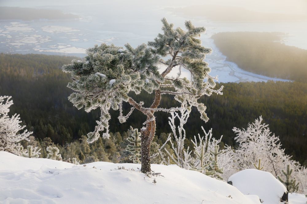 Photograph by Мария Казакова