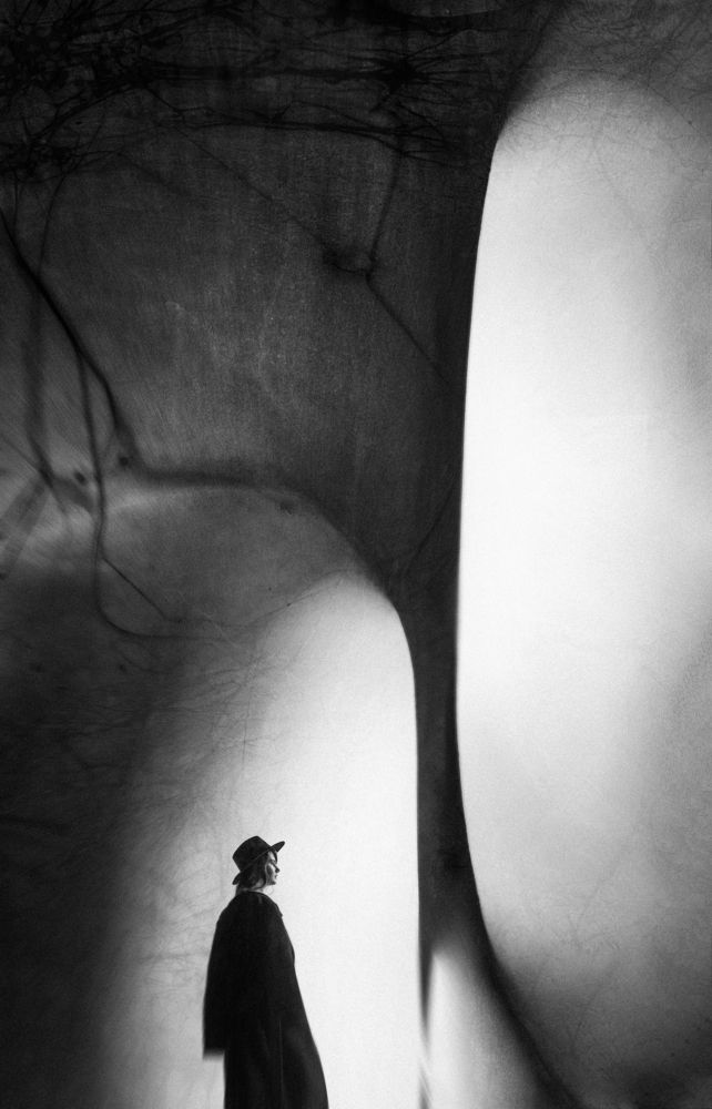 Photograph by Буданова Мария