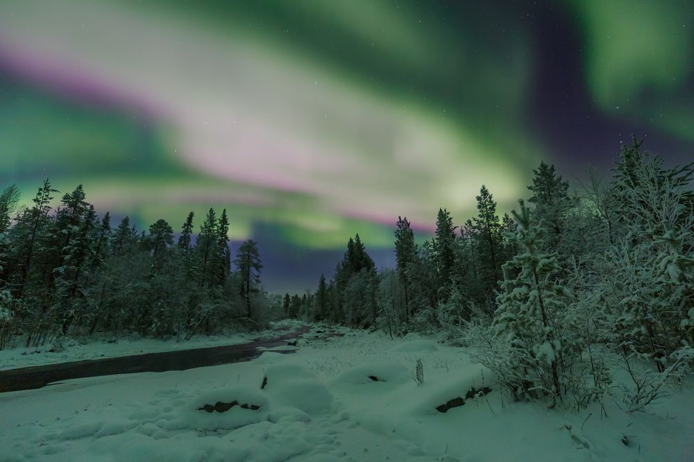 Photograph by Мария Казакова