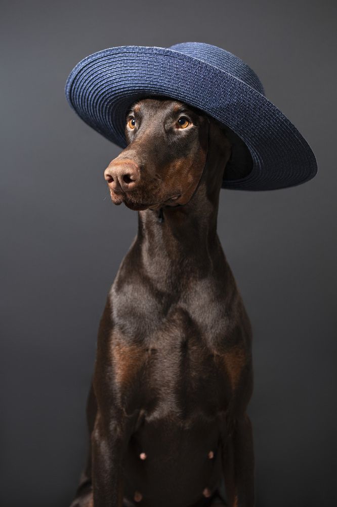 Photograph by Сергей Симохин