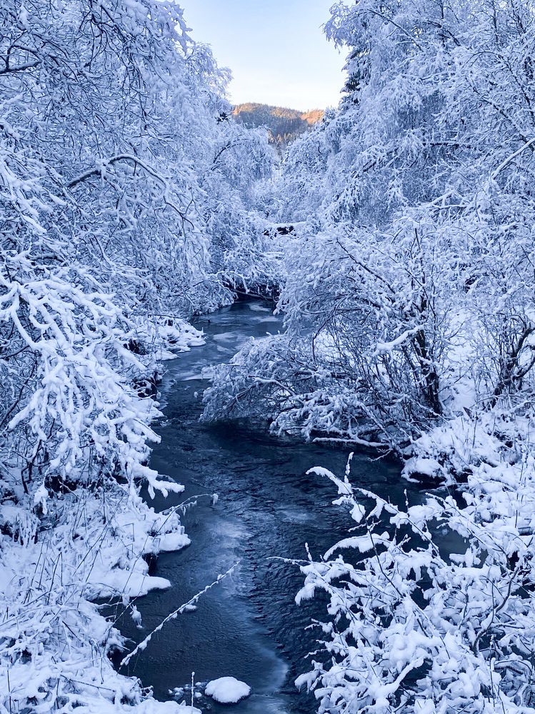 Photograph by Ірина Чумакова