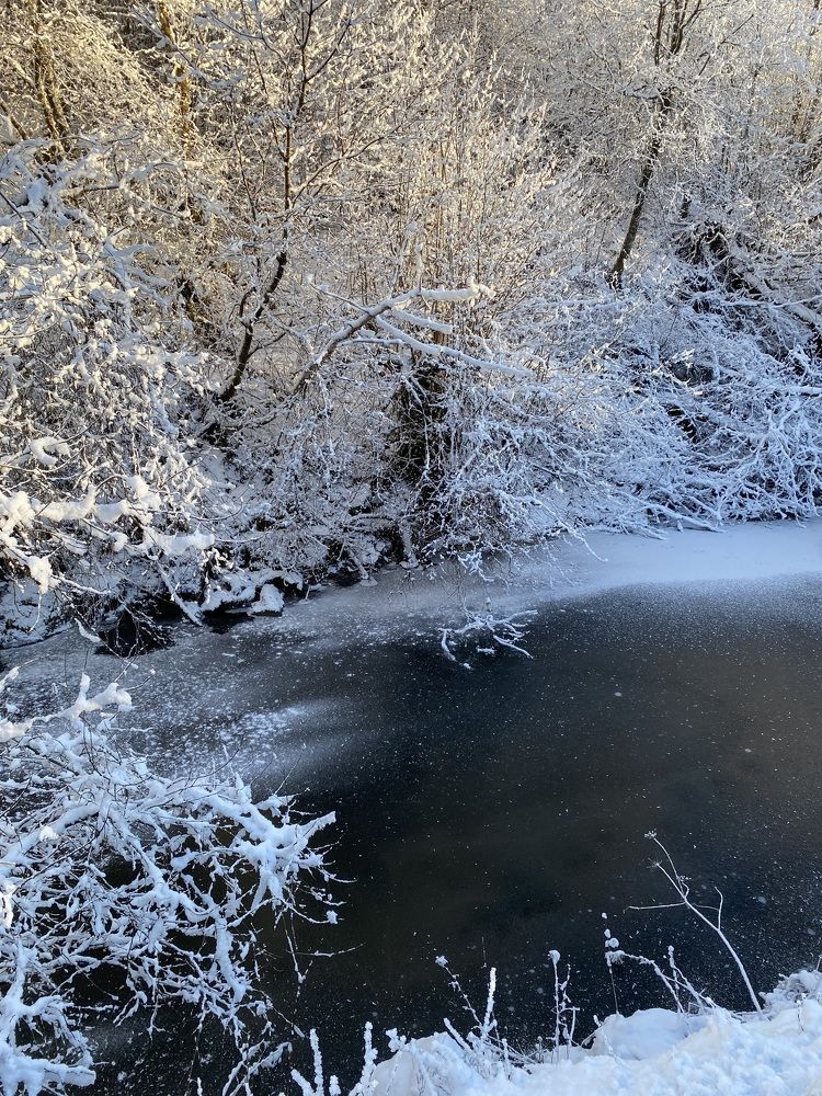 Photograph by Ірина Чумакова