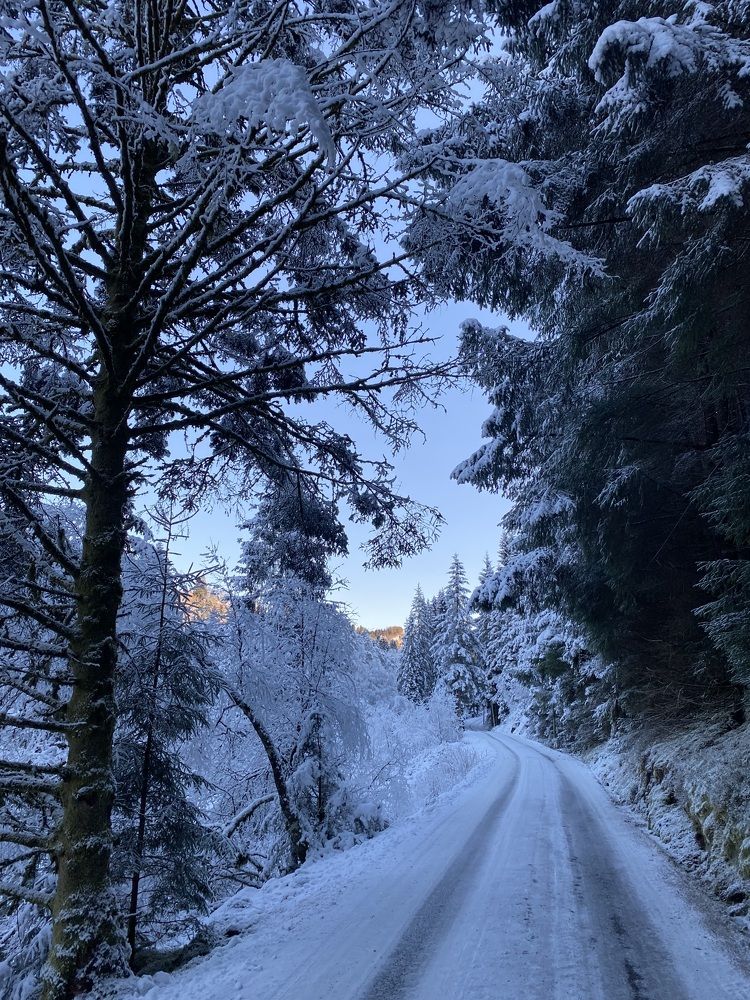 Photograph by Ірина Чумакова