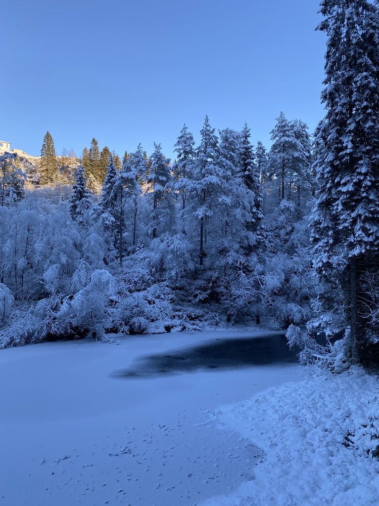 Photograph by Ірина Чумакова