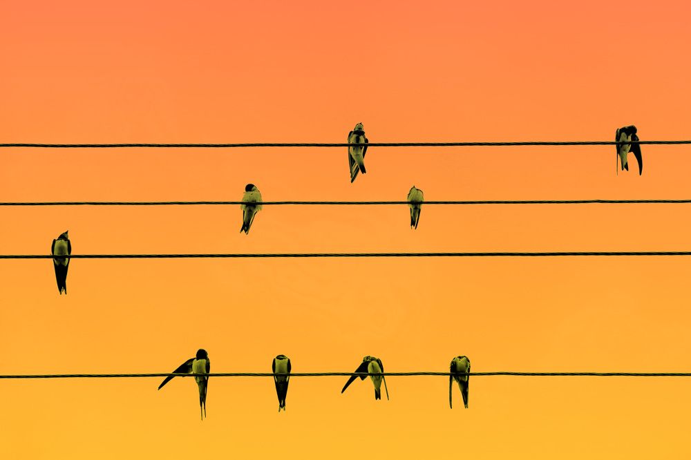 Фотография автора Игорь Ефремычев