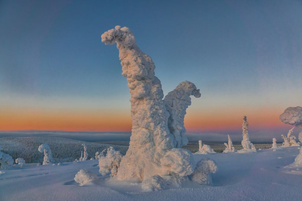 Photograph by Лариса Дука