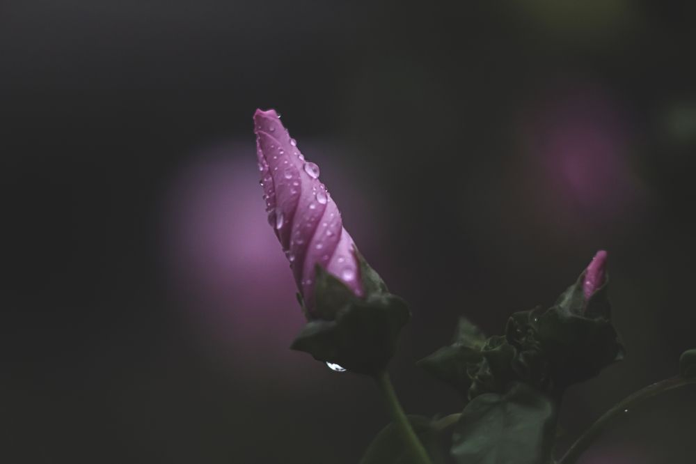 Photograph by Ольга Глухарёва