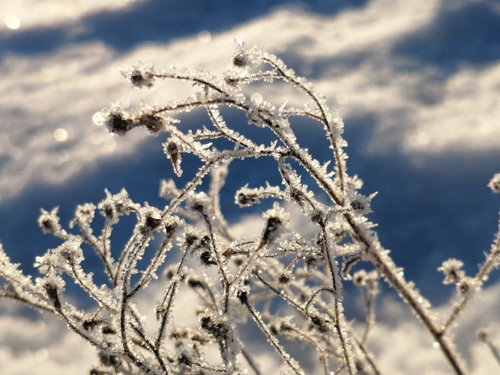Photograph by Анна Архангельская