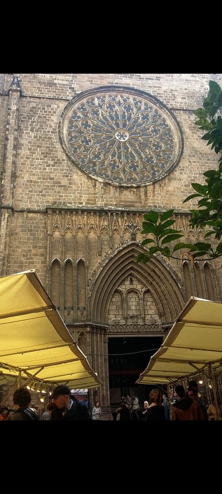 Photograph by Iris de Vos