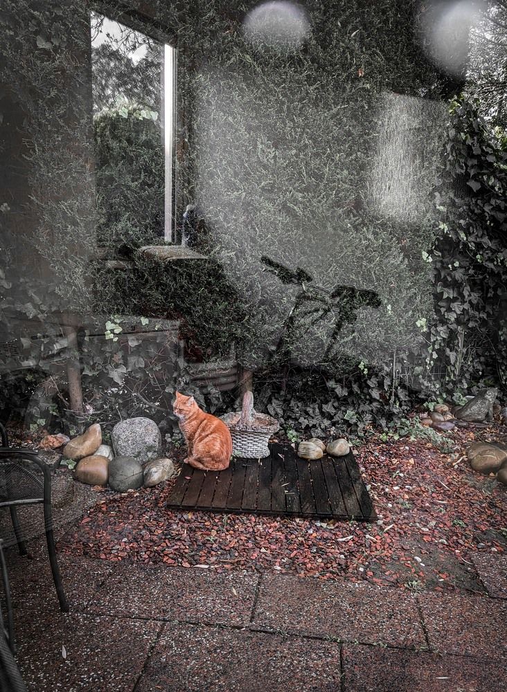 Фотография автора Ксения Шляйхер