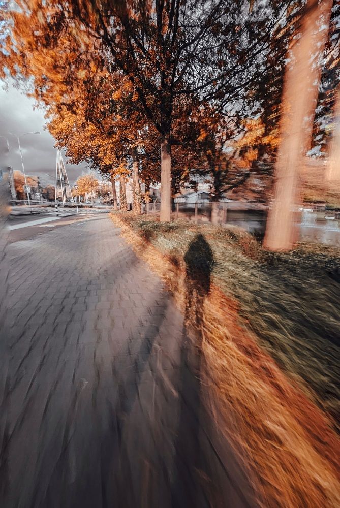 Фотография автора Ксения Шляйхер