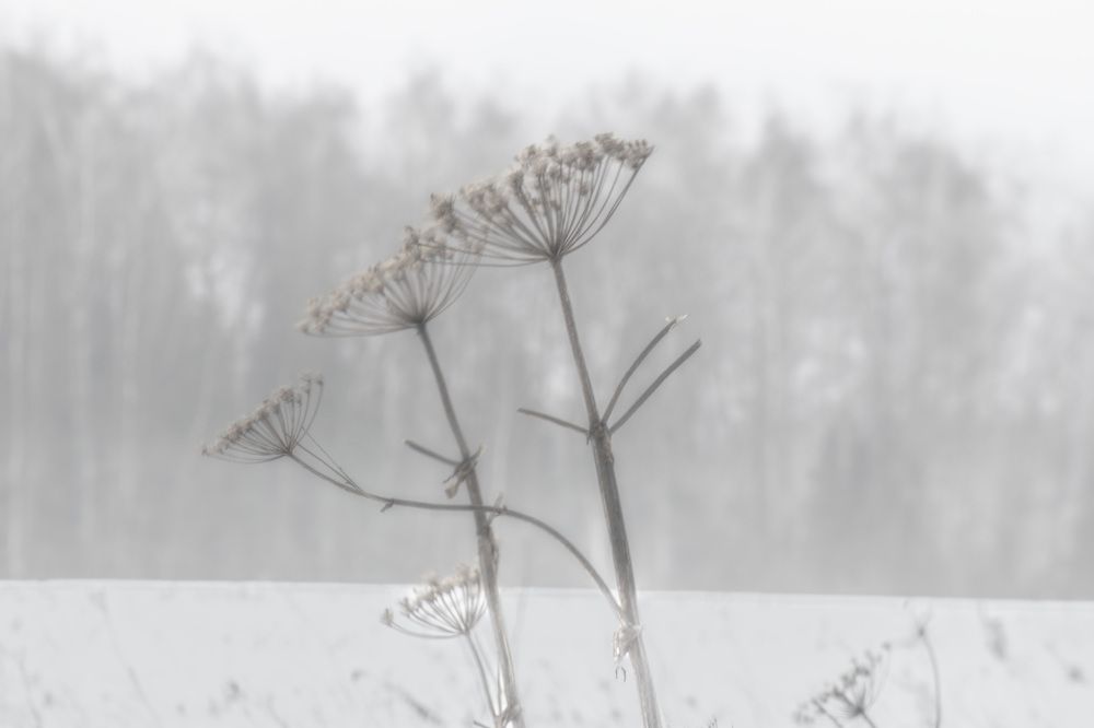 Photograph by Петр