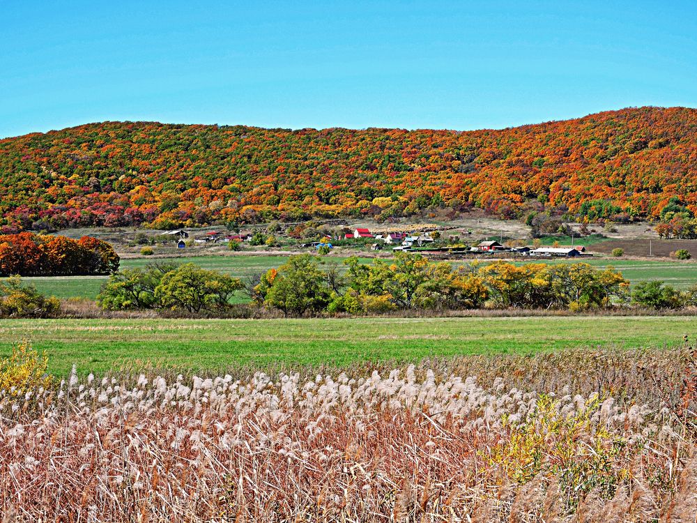 Photograph by Виктор Егоров