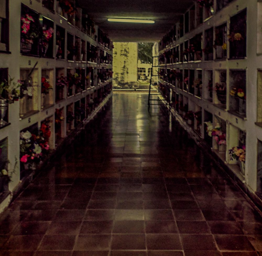 Photograph by Maria Julieta ZURZOLO