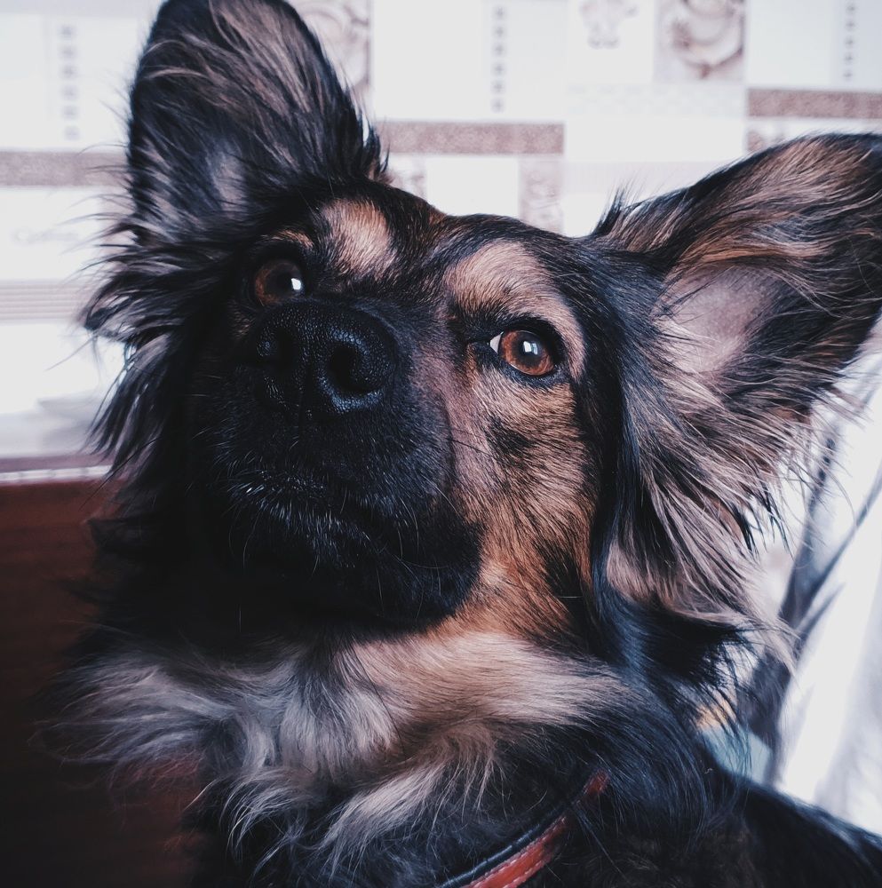 Photograph by Евгения