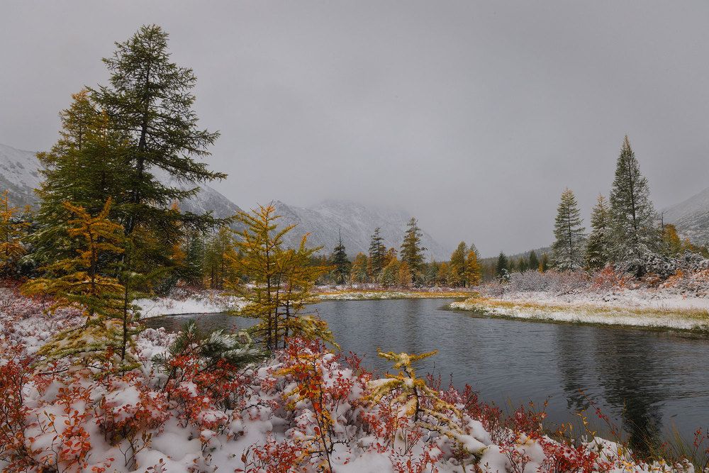 Photograph by Морозов Сергей