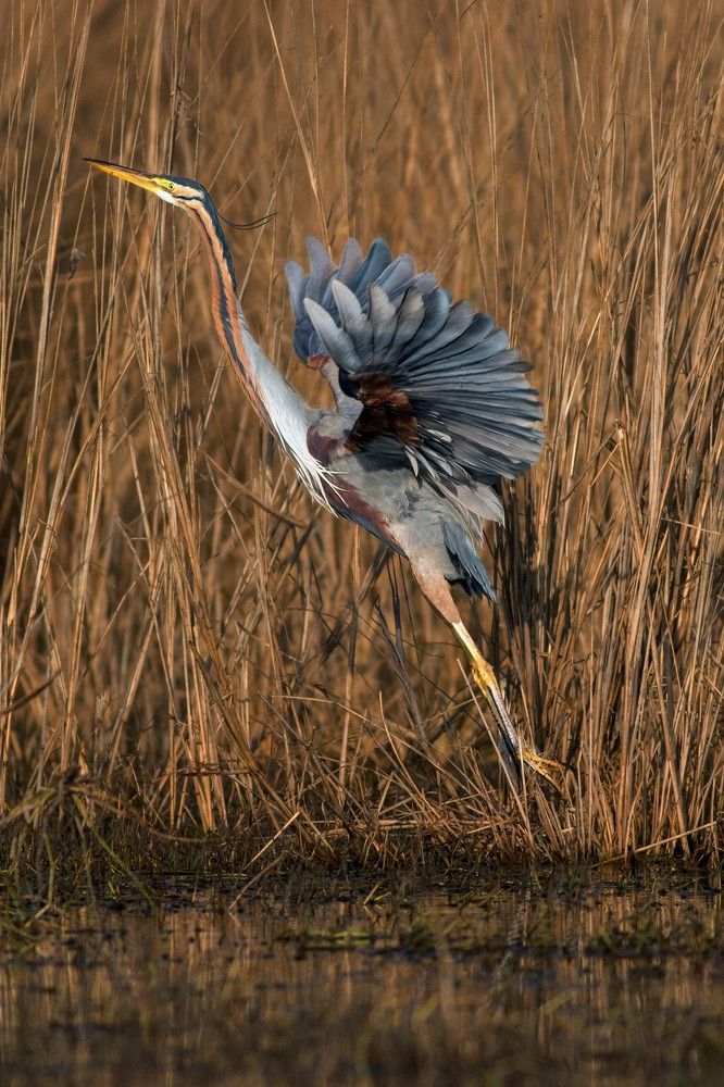 Photograph by Navjot Singh