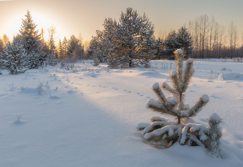 Photograph by Елена Хорохорина