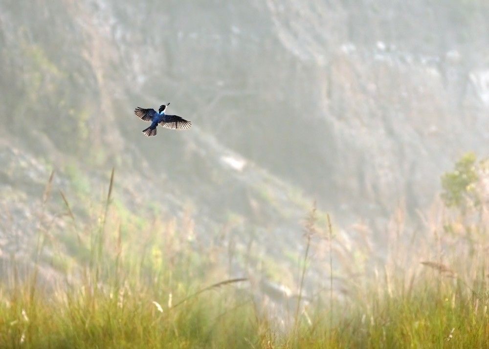 Photograph by Navjot Singh